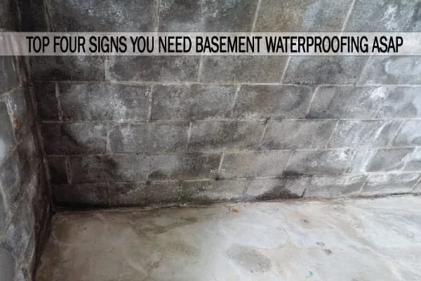 Signs you need basement waterproffing asap