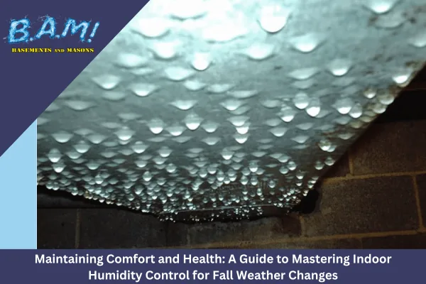 Fall-humidity-control-in-basements nastering indoor humidity