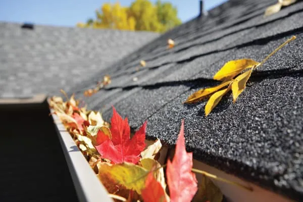 Gutter maintenance des moines — BAM Basements & Masons, Des Moines Iowa