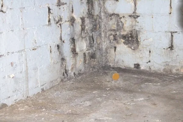 Mold mildew basement waterproofing — BAM Basements & Masons, Des Moines Iowa
