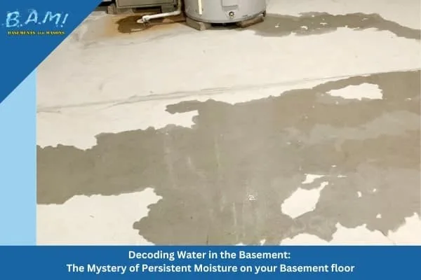 Wet basement issues best waterproof basment floor options
